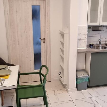 Elisabeta Studio Apartment Бухарест Екстер'єр фото